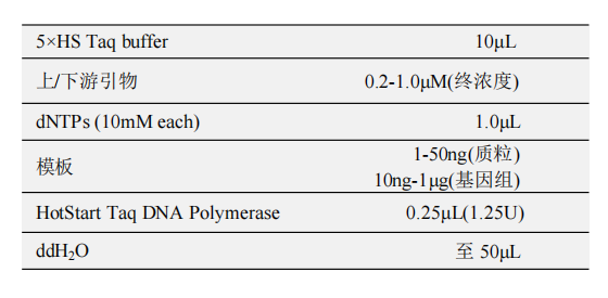 HotStart Taq DNA Polymerase(B) 常用反應體系（50μL）：