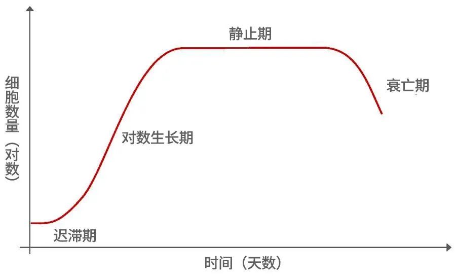 細胞生長曲線
